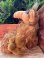 画像3: ALF 1980'S "LARGE" PLUSH DOLL