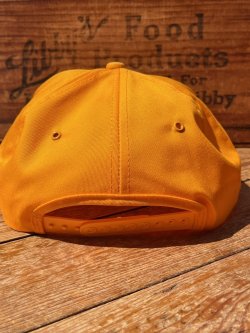 画像6: PEDIGREE × NASCAR🏁VTG D.STOCK CAP