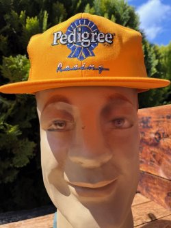 画像2: PEDIGREE × NASCAR🏁VTG D.STOCK CAP