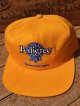 PEDIGREE × NASCAR🏁VTG D.STOCK CAP