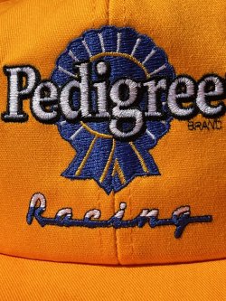 画像3: PEDIGREE × NASCAR🏁VTG D.STOCK CAP