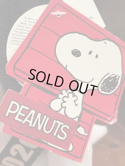 画像4: PEANUTS "CLASS OF 2020🎓GRAD” WALKING DOLL 