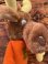 画像4: BULLWINKLE "WALLACE BERRIE" 1982'S BEAN BAG DOLL