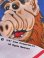 画像8: ALF "KING SIZE" VINTAGE FLAT SHEETS