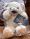 画像8: SNUGGLE BEAR 1990'S D.STOCK PLUSH DOLL