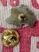 画像2: TRUCK 1970'S D.STOCK PINS #2