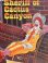 画像6: McDonald's "SHERIFF OF CACTUS CANYON" 1982'S LUNCH BOX 