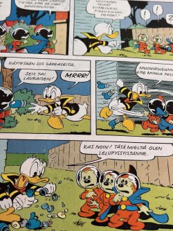 画像29: DISNEY "AKU ANKAN" KULTAKYLPY FINNISH BOOK