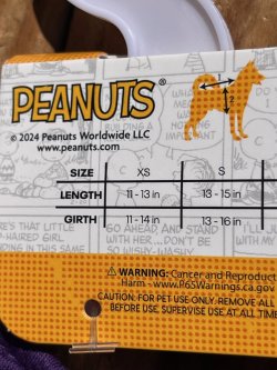 画像7: PEANUTS "TO DACE🎉TO LIVE" DOG DRESS