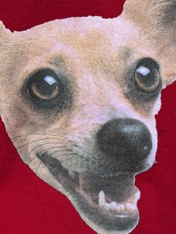 画像2: TACO BELL"HUNGRY🌮GIDGET" USED T-SHIRTS