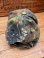画像6: FL SMIDTH ”REAL TREE CAMOUFLAGE" CAP