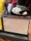 画像22: MICKEY MOUSE "MESSAGE PAD" 1980'S D.STOCK TELEPHONE 
