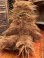 画像4: STAR WARS 1977 "CHEWBACCA" OLD KENNER PLUSH DOLL