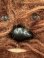 画像10: STAR WARS 1977 "CHEWBACCA" OLD KENNER PLUSH DOLL