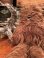 画像1: STAR WARS 1977 "CHEWBACCA" OLD KENNER PLUSH DOLL (1)