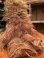 画像3: STAR WARS 1977 "CHEWBACCA" OLD KENNER PLUSH DOLL