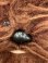画像9: STAR WARS 1977 "CHEWBACCA" OLD KENNER PLUSH DOLL