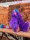 画像3: WEIRDO WILLY "RUSS" 1980'S PLUSH DOLL 