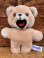 画像1: SNUGGLE BEAR 1980'S PLUSH DOLL (1)