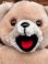 画像6: SNUGGLE BEAR 1980'S PLUSH DOLL