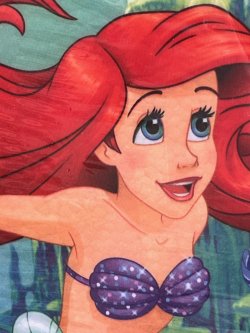 画像2: LITTLE MERMAID 2016'S D.STOCK KICKBOARD