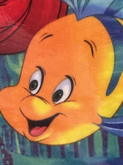 画像3: LITTLE MERMAID 2016'S D.STOCK KICKBOARD