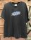 画像1: PEZ "MADE IN MEXICO" 2000'S T-SHIRTS (1)