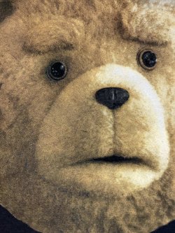 画像7: TED2 "F(ᵔᴥᵔ)CKING EXERCISING" 2015'S T-SHIRTS 