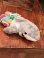 画像12: LIFE GUARD🦈SHARK 1980'S PLUSH DOLL