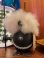 画像1: NOGGINS "WHITE HIGE” 1960'S SOUVENIR DOLL (1)
