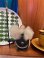 画像2: NOGGINS "WHITE HIGE” 1960'S SOUVENIR DOLL