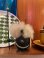 画像8: NOGGINS "WHITE HIGE” 1960'S SOUVENIR DOLL