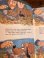 画像16: DISNEY "PLUTO SALAPOLIISINA" 1980'S FINNISH BOOK