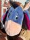 画像9: TOY STORY "BULLSEYE × EEYORE" D.STOCK PLUSH DOLL