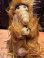 画像2: ALF "RUBBER FACE" 1980'S CLIP DOLL