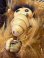 画像7: ALF "RUBBER FACE" 1980'S CLIP DOLL