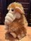画像3: ALF "FLOCKED FACE" 1980'S CLIP DOLL