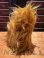 画像5: ALF "RUBBER FACE" 1980'S CLIP DOLL