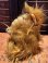 画像3: ALF "RUBBER FACE" 1980'S CLIP DOLL
