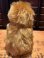 画像5: ALF "FLOCKED FACE" 1980'S CLIP DOLL