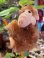 画像1: ALF "FLOCKED FACE" 1980'S CLIP DOLL (1)