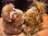 画像12: ALF "RUBBER FACE" 1980'S CLIP DOLL