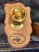 画像3: ALF "RUSS" 1980'S PINS