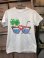 画像1: DELTA APPAREL "MADE IN USA" 1980'S T-SHIRTS (1)