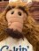 画像7: ALF 1980'S ”CHEF" PUPPET DOLL
