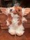 画像1: GREMLINS 1980'S “GIZMO" PLUSH DOLL   (1)