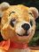 画像6: BEAR LIKE POOH🍯 1970'S PLUSH DOLL 