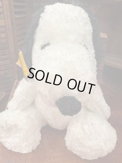 画像7: SNOOPY "CHARLES M SCHULZ MUSEUM" PLUSH DOLL 