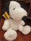 画像1: SNOOPY "CHARLES M SCHULZ MUSEUM" PLUSH DOLL  (1)