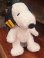 画像12: SNOOPY "CHARLES M SCHULZ MUSEUM" PLUSH DOLL 